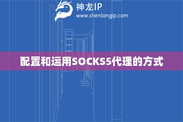 配置和运用SOCKS5代理的方式