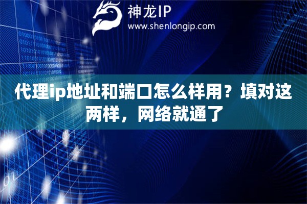 代理ip地址和端口怎么样用？填对这两样，网络就通了