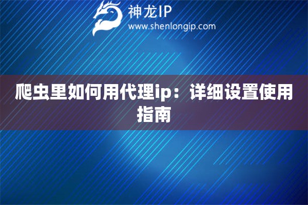爬虫里如何用代理ip：详细设置使用指南