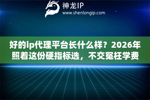 好的ip代理平台长什么样？2026年照着这份硬指标选，不交冤枉学费