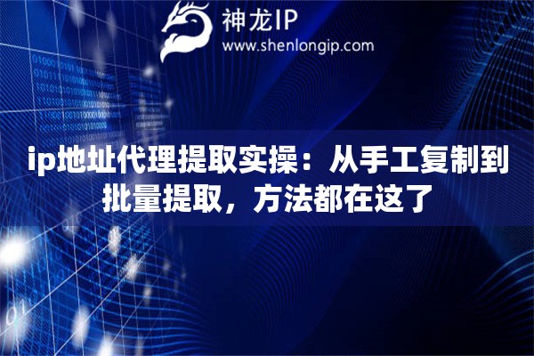ip地址代理提取实操：从手工复制到批量提取，方法都在这了