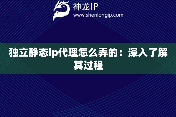 独立静态ip代理怎么弄的：深入了解其过程