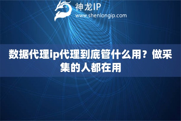 数据代理ip代理到底管什么用？做采集的人都在用