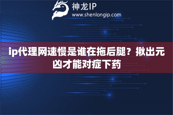 ip代理网速慢是谁在拖后腿？揪出元凶才能对症下药