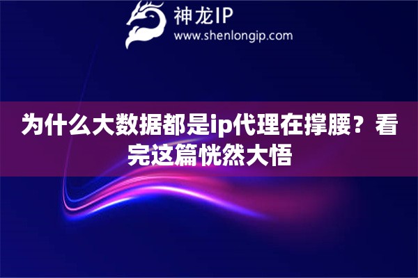 为什么大数据都是ip代理在撑腰？看完这篇恍然大悟