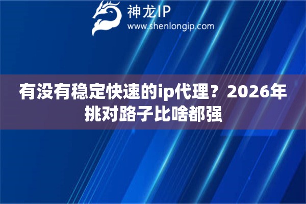 有没有稳定快速的ip代理？2026年挑对路子比啥都强