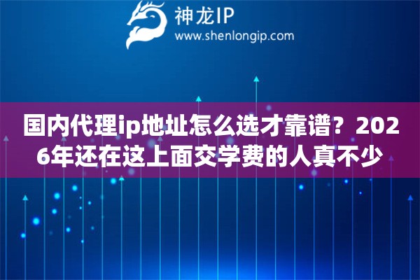国内代理ip地址怎么选才靠谱?2026年还在这上面交学费的人真不少 国内代理ip地址怎么选才靠谱?2026年还在这上面交学费的人真不少