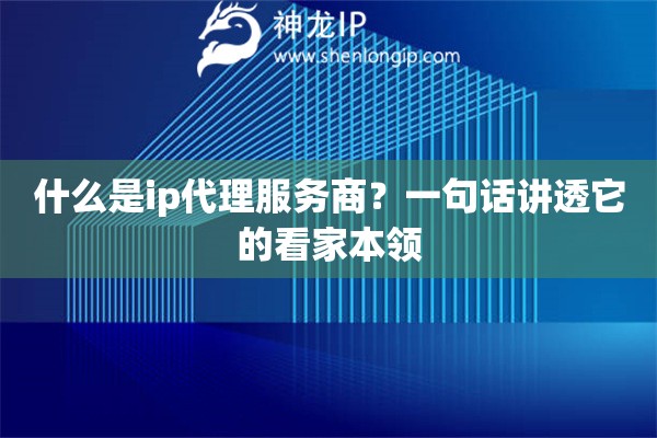 什么是ip代理服务商？一句话讲透它的看家本领