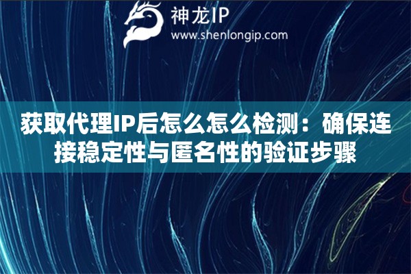 获取代理IP后怎么怎么检测：确保连接稳定性与匿名性的验证步骤