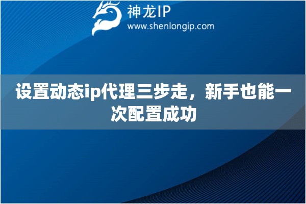 设置动态ip代理三步走,新手也能一次配置成功 设置动态ip代理三步走,新手也能一次配置成功