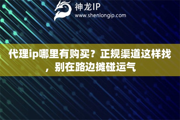 代理ip哪里有购买？正规渠道这样找，别在路边摊碰运气