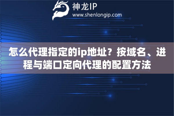 怎么代理指定的ip地址？按域名、进程与端口定向代理的配置方法