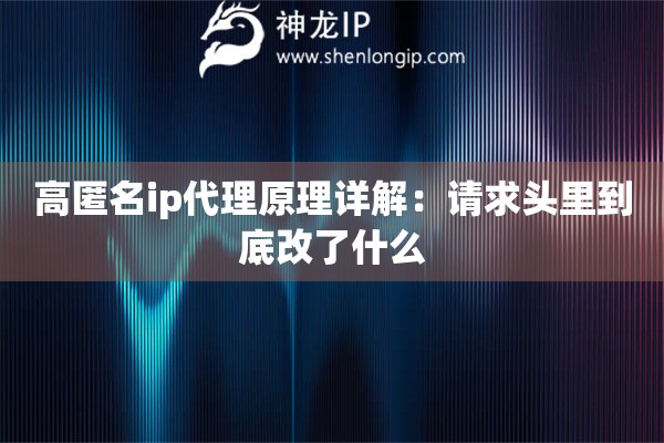 高匿名ip代理原理详解：请求头里到底改了什么
