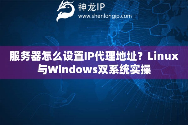 服务器怎么设置IP代理地址？Linux与Windows双系统实操