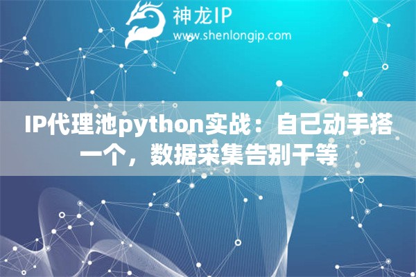 IP代理池python实战：自己动手搭一个，数据采集告别干等