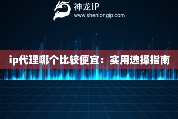 ip代理哪个比较便宜：实用选择指南