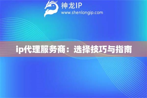 ip代理服务商：选择技巧与指南