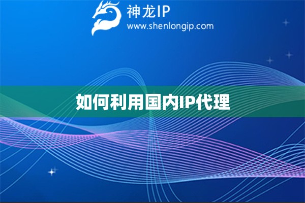 如何利用国内IP代理