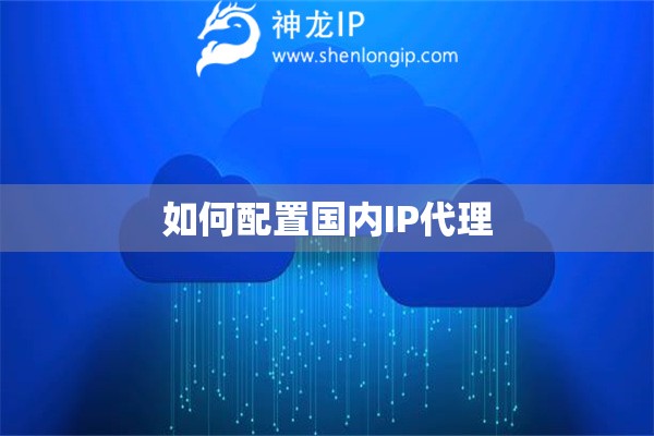 如何配置国内IP代理