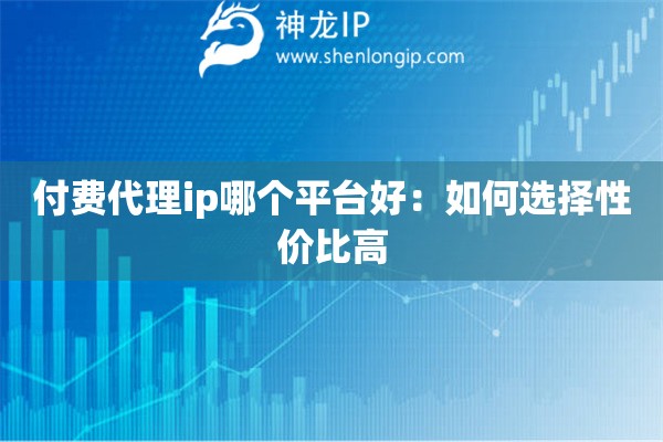 付费代理ip哪个平台好：如何选择性价比高