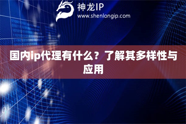 国内ip代理有什么？了解其多样性与应用
