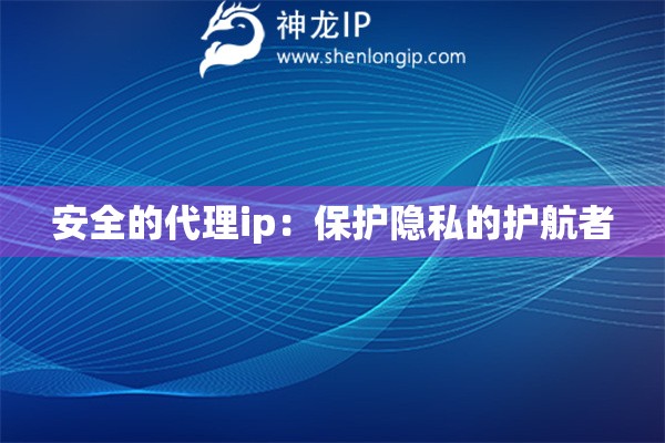 安全的代理ip：保护隐私的护航者