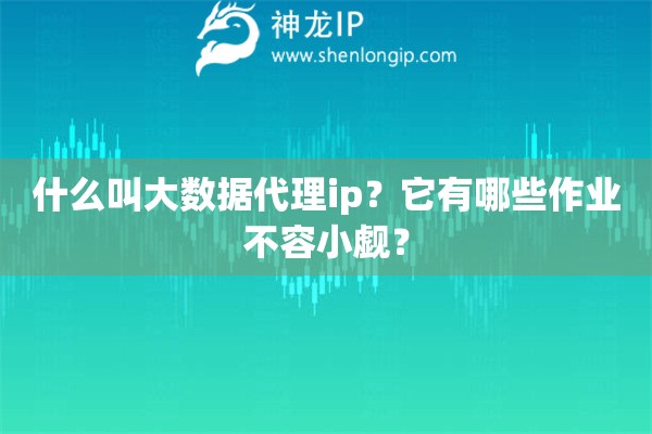 什么叫大数据代理ip？它有哪些作业不容小觑？
