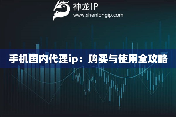 手机国内代理ip：购买与使用全攻略