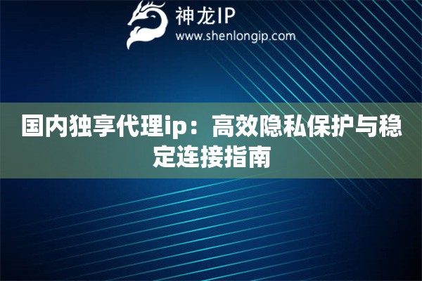 国内独享代理ip：高效隐私保护与稳定连接指南