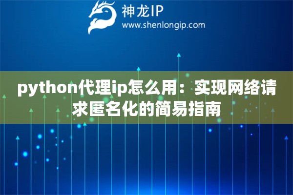 python代理ip怎么用：实现网络请求匿名化的简易指南