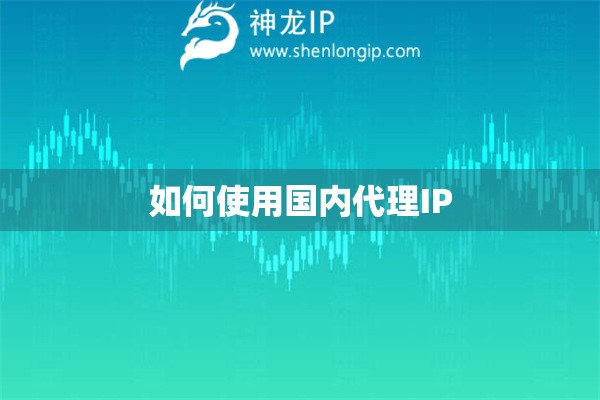 如何使用国内代理IP