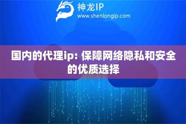 国内的代理ip: 保障网络隐私和安全的优质选择