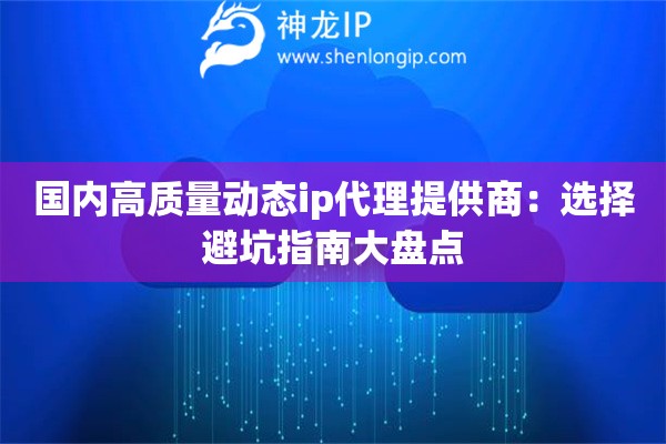 国内高质量动态ip代理提供商：选择避坑指南大盘点