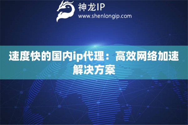 速度快的国内ip代理：高效网络加速解决方案