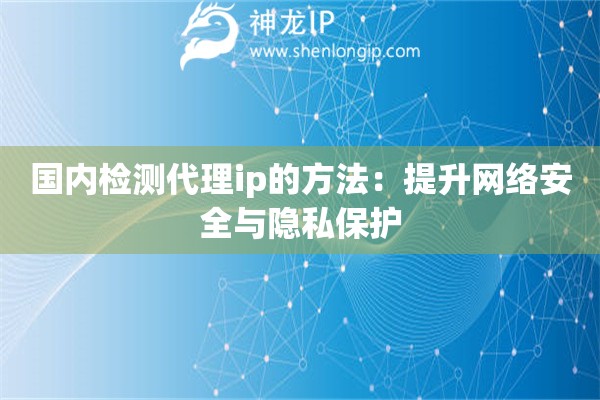 国内检测代理ip的方法：提升网络安全与隐私保护