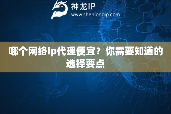 哪个网络ip代理便宜？你需要知道的选择要点