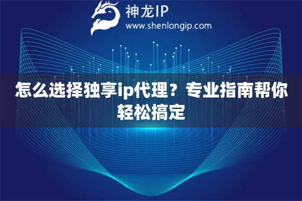 怎么选择独享ip代理？专业指南帮你轻松搞定