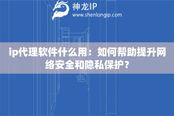 ip代理软件什么用：如何帮助提升网络安全和隐私保护？