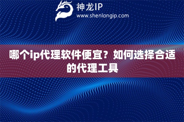 哪个ip代理软件便宜？如何选择合适的代理工具