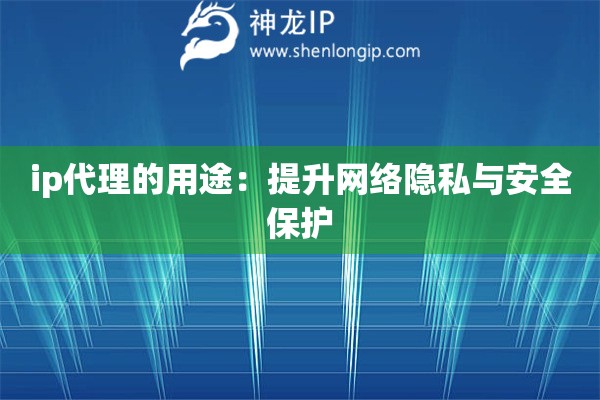 ip代理的用途：提升网络隐私与安全保护