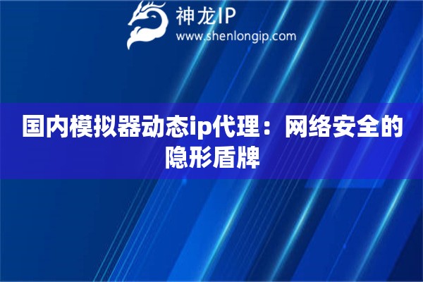 国内模拟器动态ip代理：网络安全的隐形盾牌