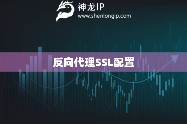 反向代理SSL配置