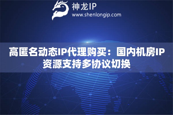 高匿名动态IP代理购买：国内机房IP资源支持多协议切换