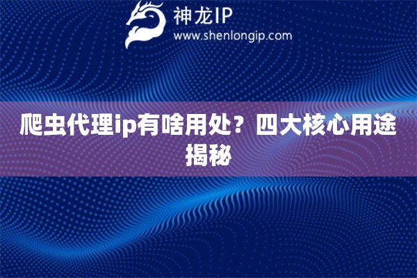 爬虫代理ip有啥用处？四大核心用途揭秘