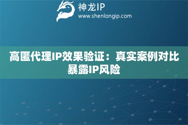 高匿代理IP效果验证：真实案例对比暴露IP风险