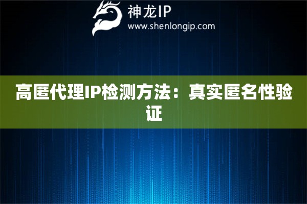 高匿代理IP检测方法：真实匿名性验证