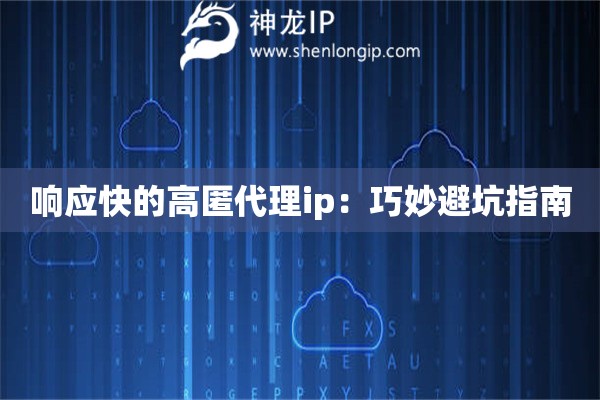 响应快的高匿代理ip：巧妙避坑指南