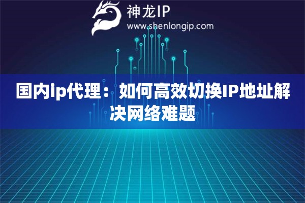 国内ip代理：如何高效切换IP地址解决网络难题