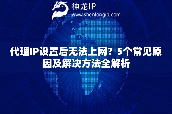 代理IP设置后无法上网？5个常见原因及解决方法全解析