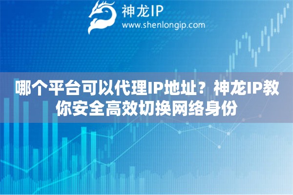 哪个平台可以代理IP地址？神龙IP教你安全高效切换网络身份